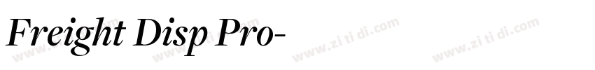 Freight Disp Pro字体转换